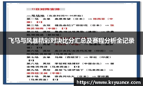 飞马与风暴精彩对决比分汇总及赛程分析全记录